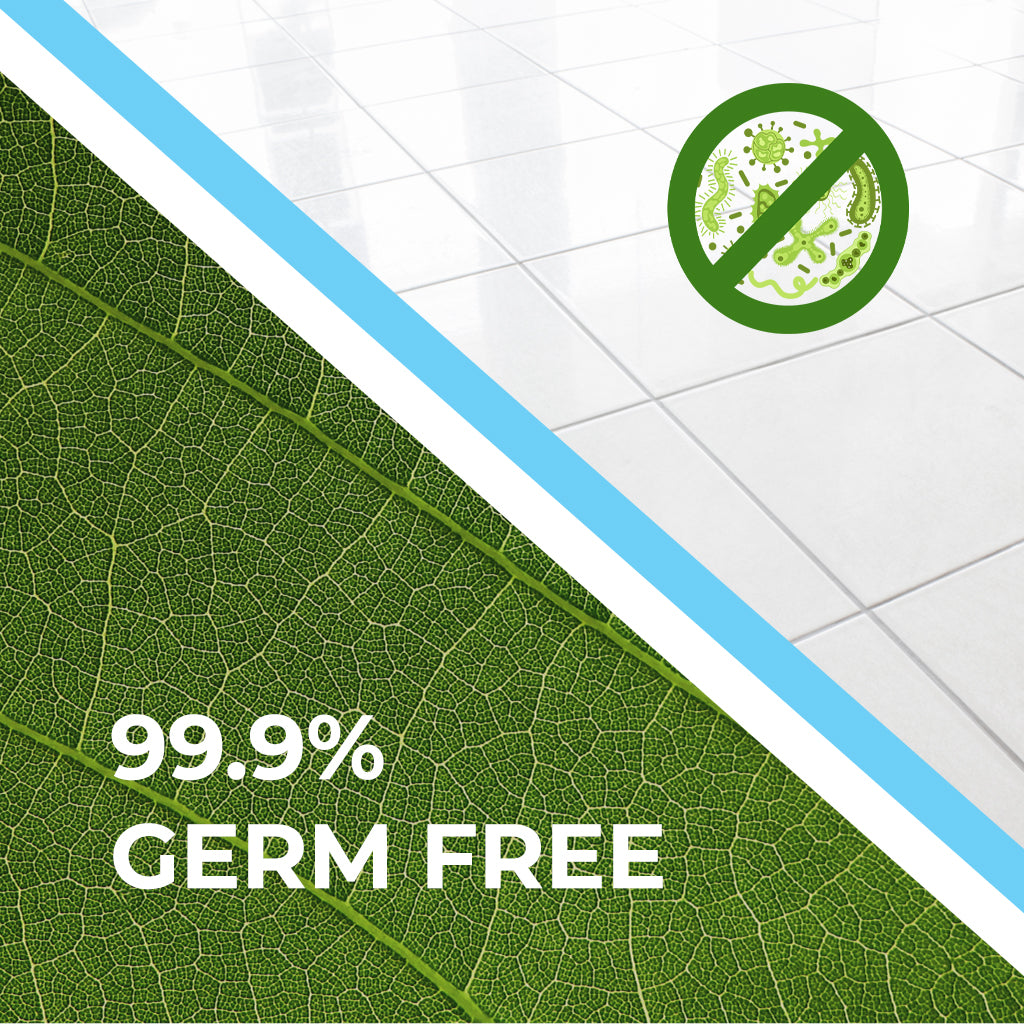 Eucalyptus Disinfectant Floor Cleaner, NonToxic and Biodegradable, Co